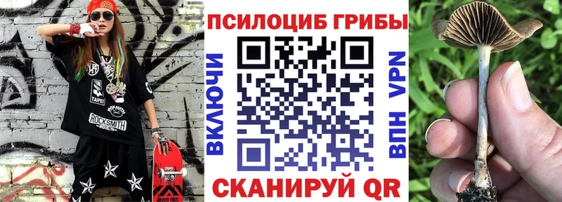 Галлюциногенные грибы Psilocybine cubensis  Юрьевец 